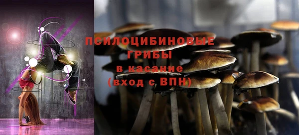 дмт Приозерск