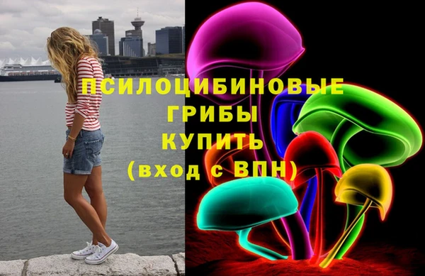 а пвп мука Новодвинск