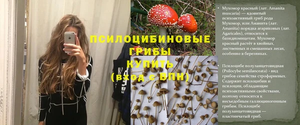 винт Нягань